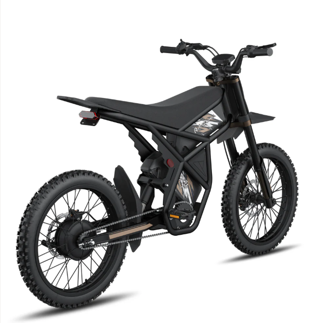 Riding’times GT73 Pro E-Bike