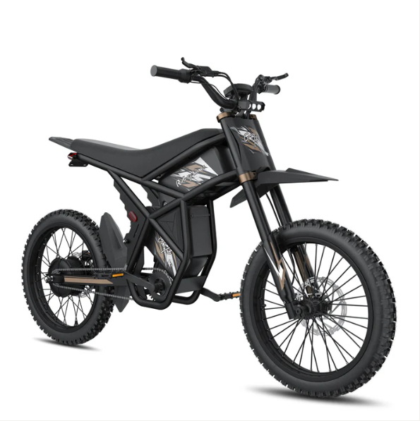 Riding’times GT73 Pro E-Bike